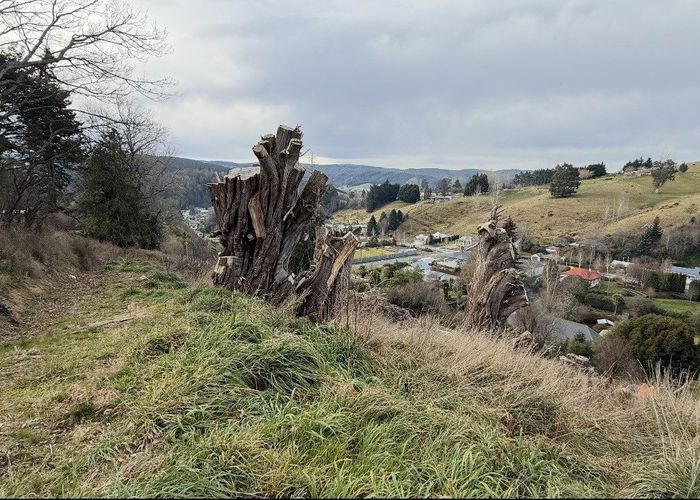  at 5-7 Rea Street, Lawrence, Clutha, Otago