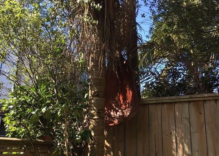  at 21 Hunters Park Drive, Three Kings, Auckland City, Auckland