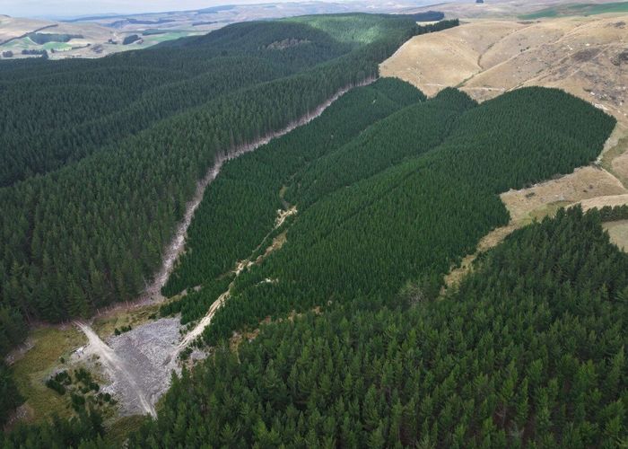  at 1&3 Rutherford Road, Fuschia Creek, Herbert, Waitaki, Otago