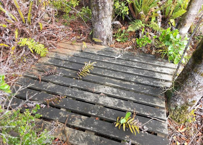  at 0 Ballarat Rise, Awatuna, Westland, West Coast