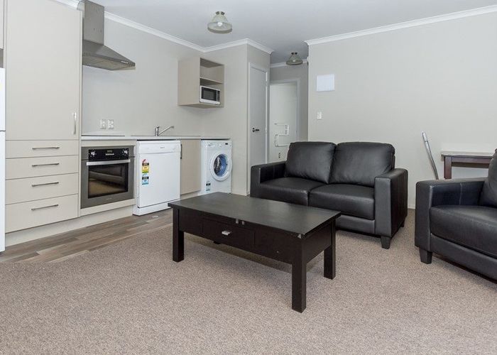  at 62F Willoughby Street, Hamilton City Central, Hamilton, Waikato