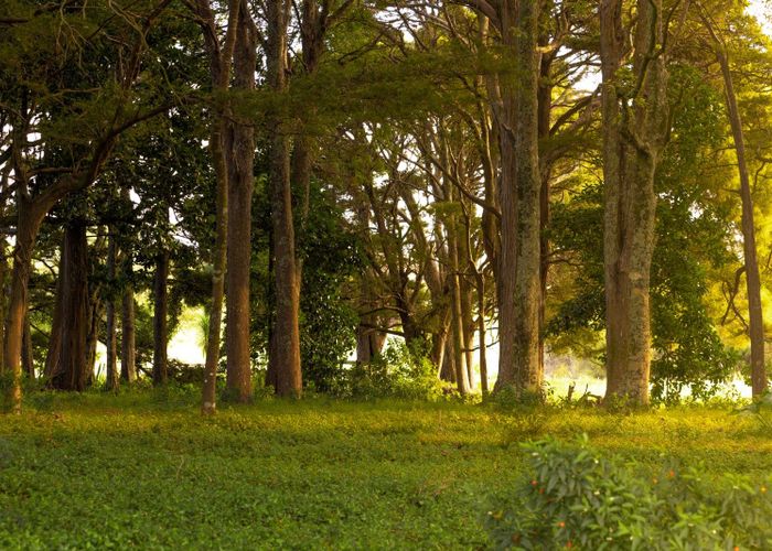  at 572 Woodcocks Road, Warkworth, Rodney, Auckland