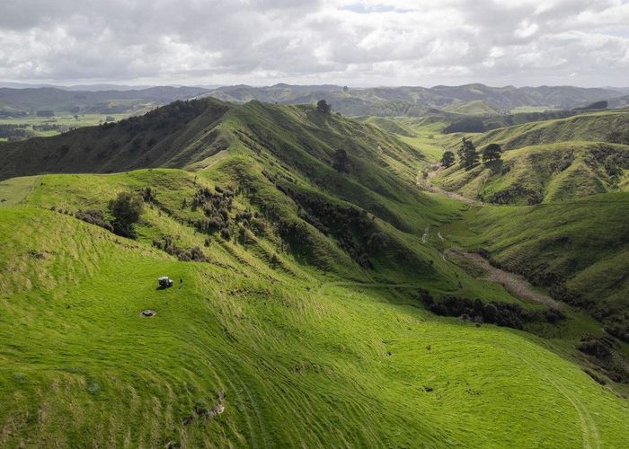 at Merlo Forest, Eketahuna, Tararua, Manawatu / Whanganui