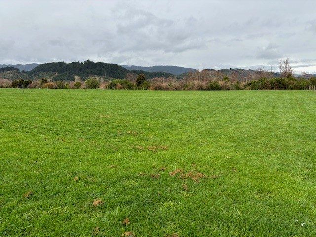  at 17 Riverside Drive, Ohau, Horowhenua, Manawatu / Whanganui
