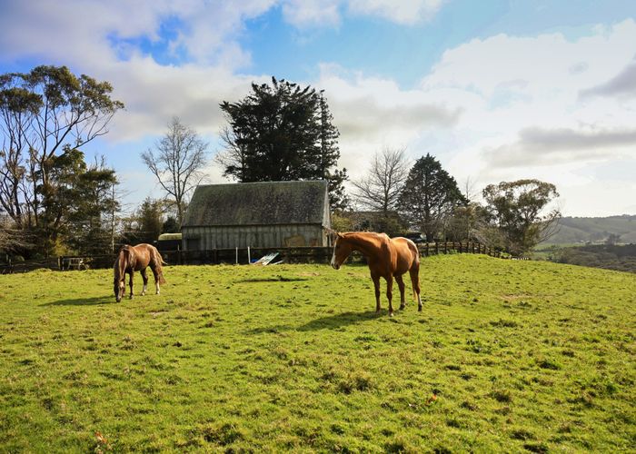 For sale 605 WhitfordMaraetai Road, Beachlands, Manukau City