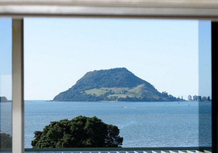  at 163 Ngatai Road, Otumoetai, Tauranga