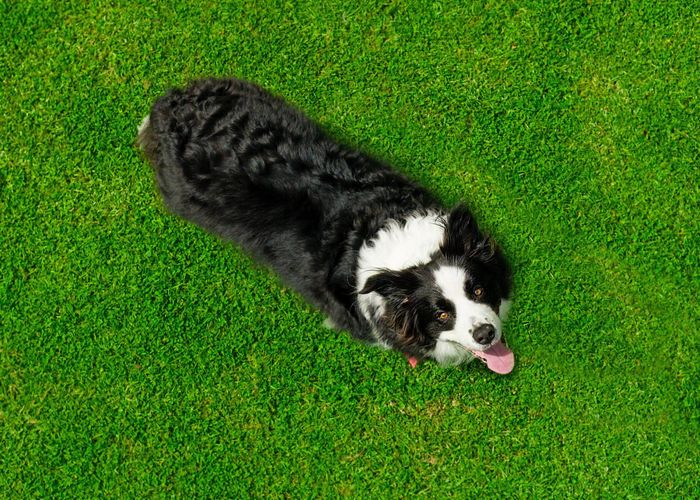  at 158 McLeod Road South Head, Helensville, Rodney, Auckland