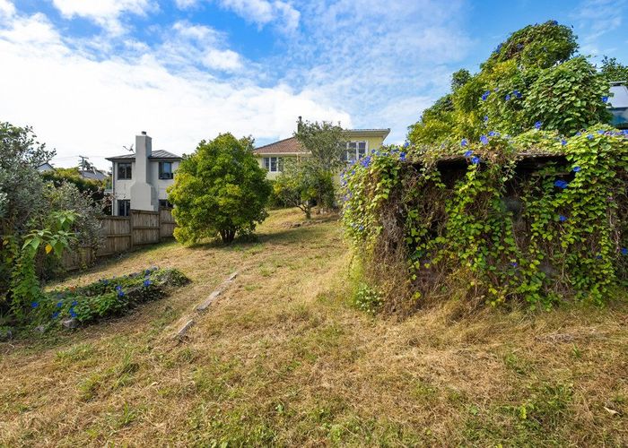  at 46 Lingarth Street, Remuera, Auckland City, Auckland