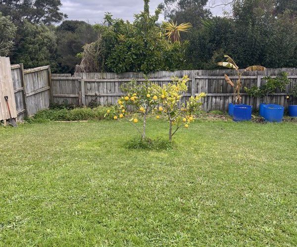  at 125 Millbrook Road, Sunnyvale, Auckland