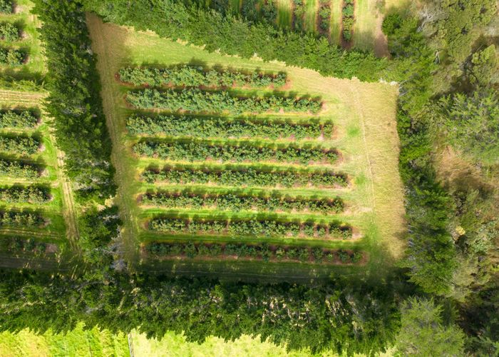  at 373 Kimberley Road, Ngataki, Far North, Northland