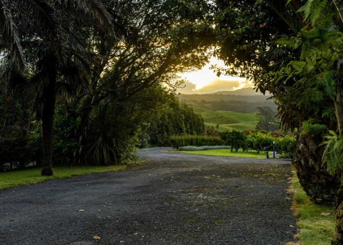  at 439 Wainui South Road, Whakamārama