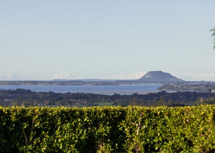  at 329B Thompsons Track, Katikati, Western Bay Of Plenty, Bay Of Plenty