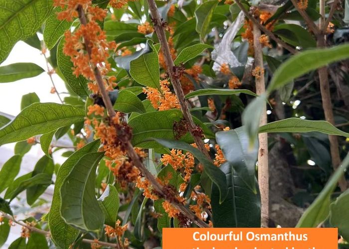  at 57C Point View Drive, East Tamaki Heights, Manukau City, Auckland