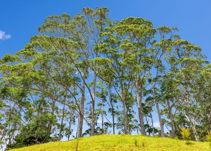  at Peria Road, Peria, Far North, Northland