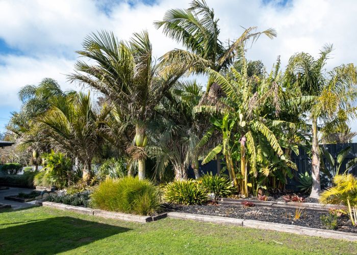  at 245 Riverbend Road, Meeanee, Napier