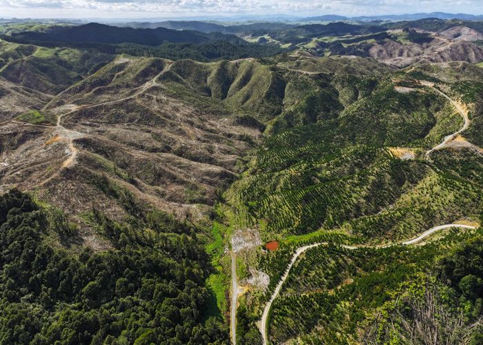  at Highway 22, Ngaruawahia, Waikato, Waikato