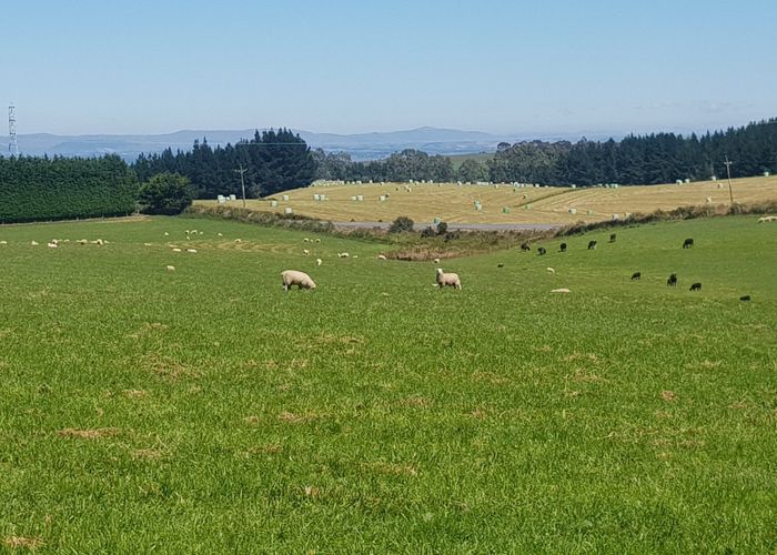  at 1042 Hillend Road, Hillend, Balclutha