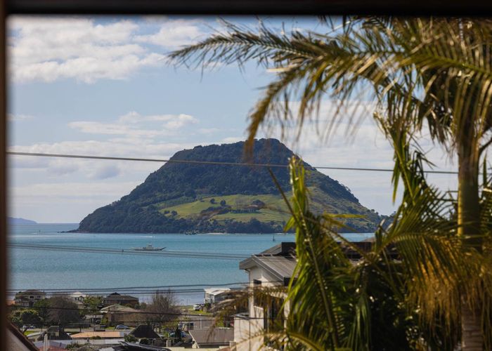  at 45 Pillans Road, Otumoetai, Tauranga, Bay Of Plenty