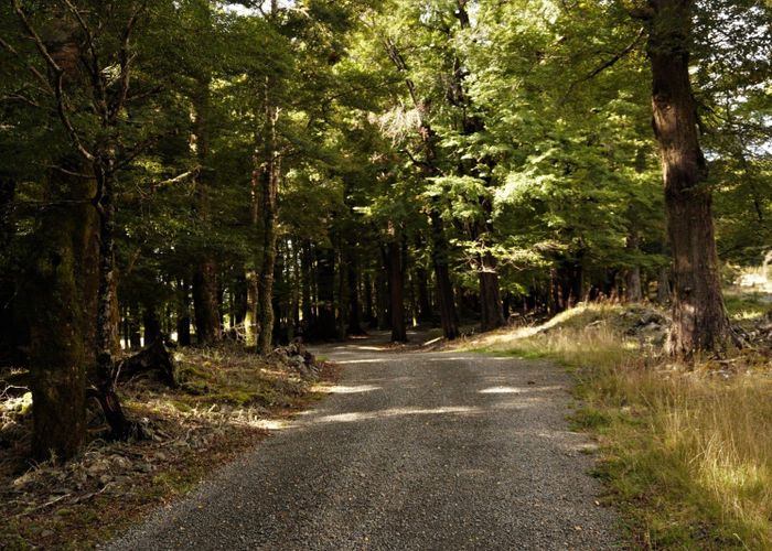  at 30 Borlase Avenue, Saint Arnaud, Tasman, Nelson / Tasman