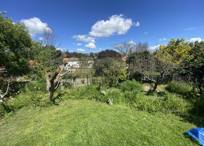  at 29 Bledisloe Terrace (Hayes Paddock), Hamilton East, Hamilton, Waikato