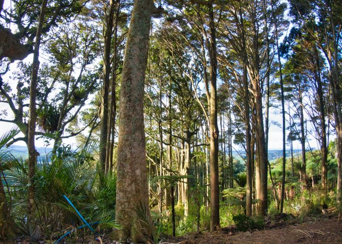  at 342 Cames Road, Wellsford