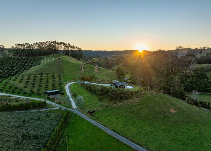  at 495A Crawford Road, Minden, Tauranga