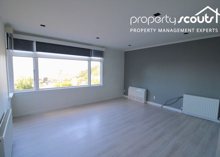 at 14 Coney Hill Road, Saint Clair, Dunedin, Otago