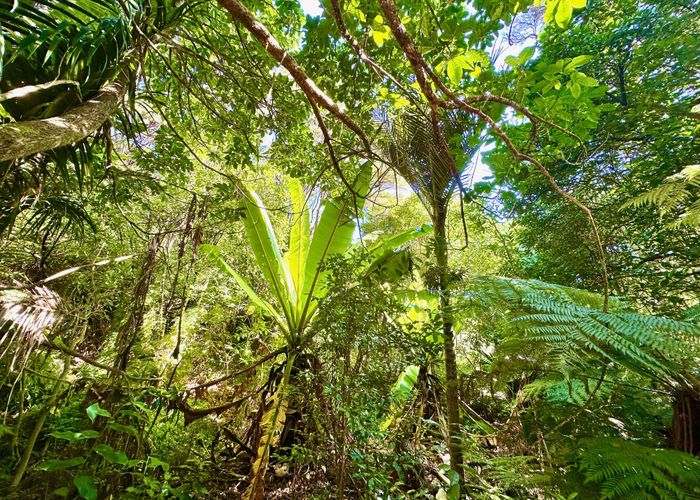  at 5 View Road, Ostend, Waiheke Island, Auckland