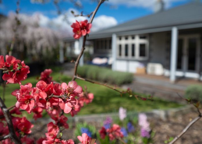  at 29 Hazlett Street, Clyde, Central Otago, Otago