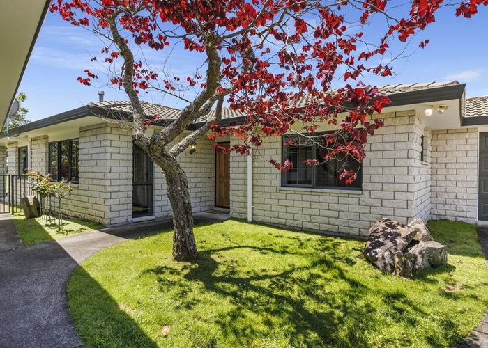  at 9 Castlewold Drive, Bethlehem, Tauranga