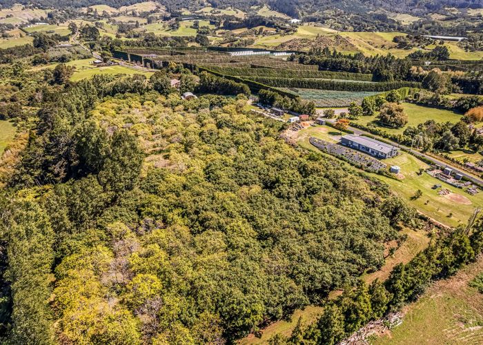  at 49 Lindemann Road, Katikati, Western Bay Of Plenty, Bay Of Plenty