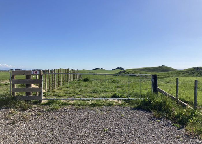  at 398 Finnis Road, Colyton, Manawatu, Manawatu / Whanganui