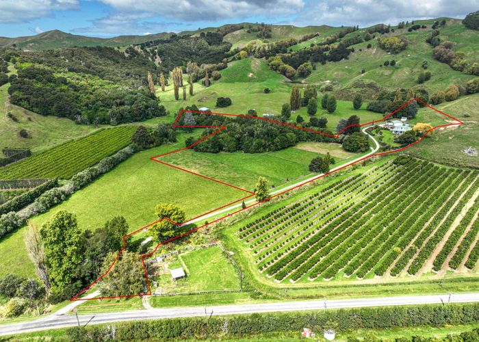  at 559 Taurau Valley Road, Muriwai, Manutūkē