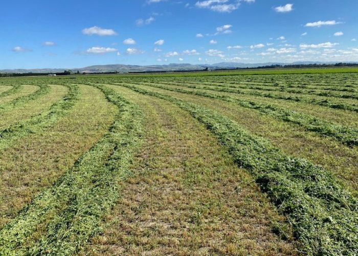  at 82 Limeloader Lane, Amberley, Hurunui, Canterbury
