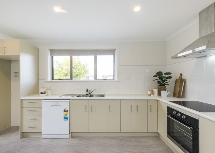  at 3 Manchester Street, Takaro, Palmerston North