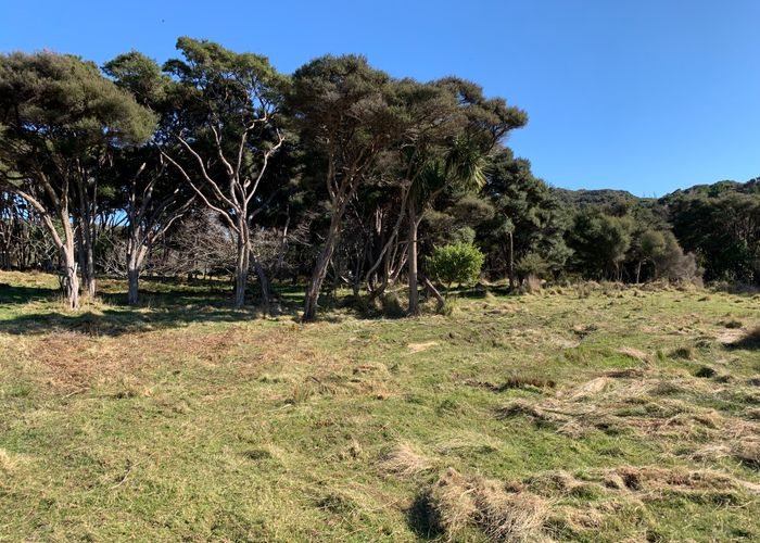  at 172 Wharariki Road, Puponga