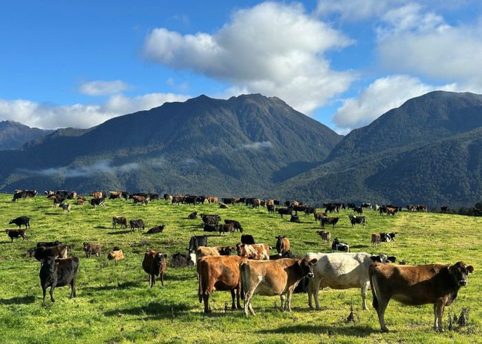  at 2434 State Highway 65, Maruia, Buller, West Coast