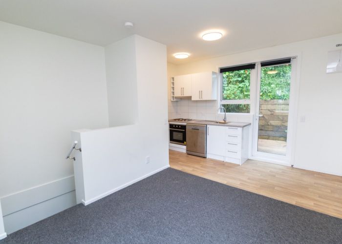  at 138 Raroa Road, Aro Valley, Wellington