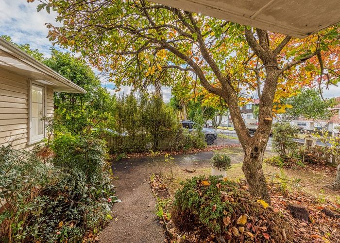  at 16 Maple Street, Avondale, Auckland