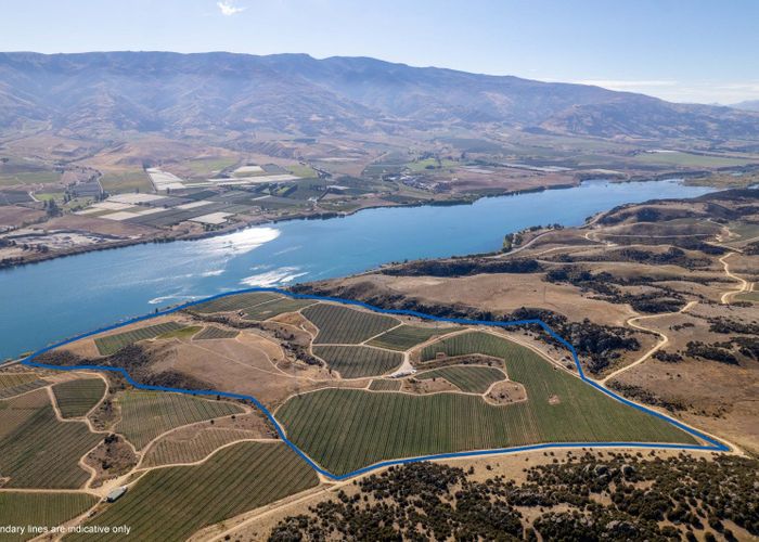  at 286 Lakefront Terrace, Tarras-Cromwell Road, Cromwell, Central Otago, Otago