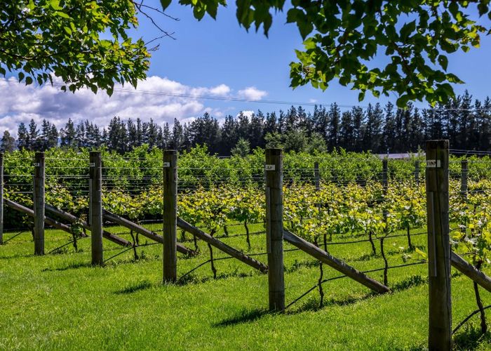  at 822 Chester Road, West Taratahi