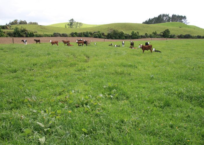  at 322 Rugby Road, Tariki, New Plymouth, Taranaki