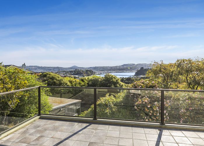  at 87 Jeffery Street, Andersons Bay, Dunedin