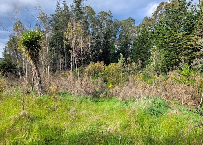  at 200 Nightcaps Ohai Highway, Ohai, Southland, Southland