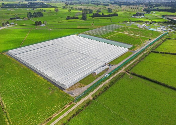  at 232 and 226 Trig Road South, Waihi, Hauraki, Waikato