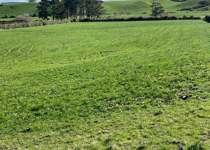  at 165 Rawhitiroa Road, Eltham, South Taranaki, Taranaki