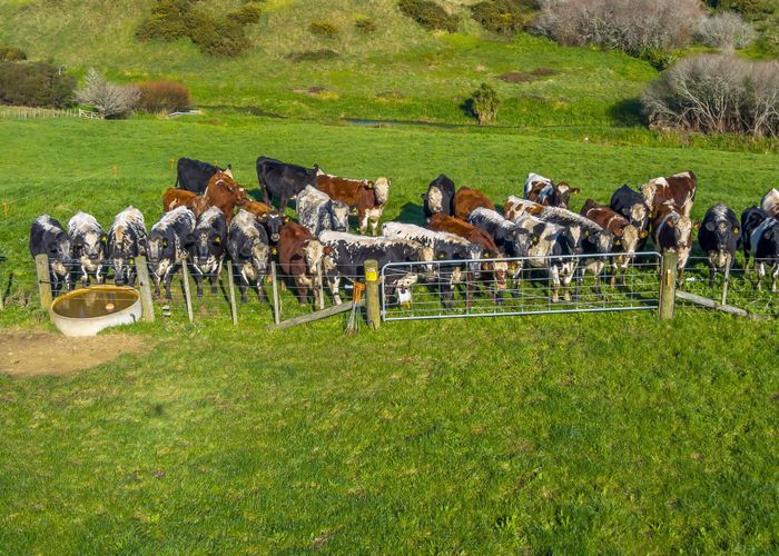  at 137 Kingseat Road, Patumahoe, Pukekohe