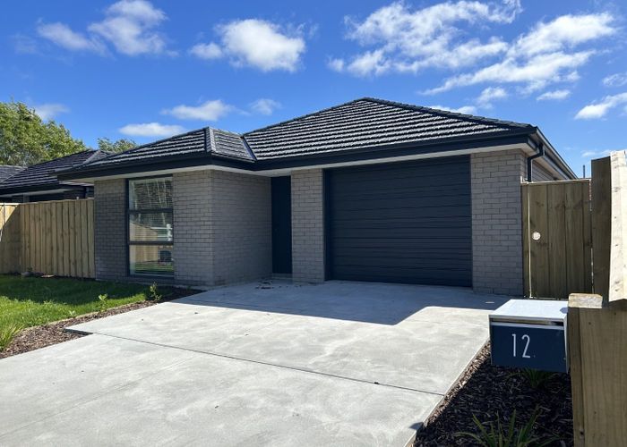  at 12 Applegrove Crescent, Belfast, Christchurch