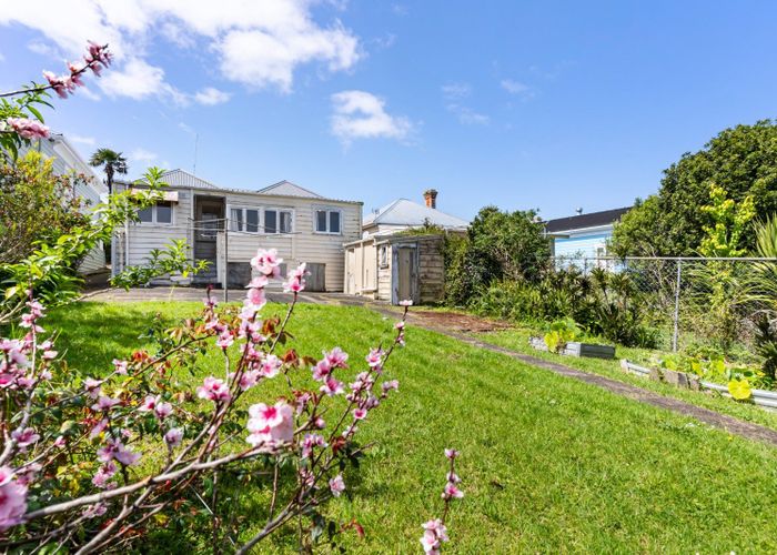  at 11 Chamberlain Street, Grey Lynn, Auckland City, Auckland