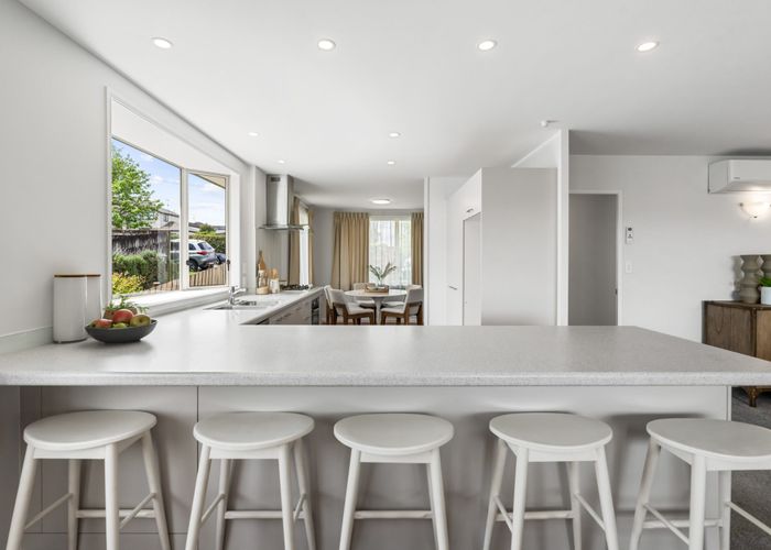  at 161a Ladies Mile, Ellerslie, Auckland City, Auckland